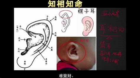 貼面耳|面相：哪三種耳相最福氣？